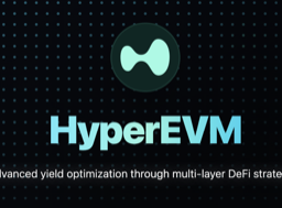 EVM Strategies logo